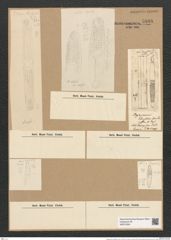 Plagiogramma elongatum Grev. (de-Toni-Nr.: Genus 83, Species 2907) Zeichnungen Sammlung Grunow Nr. 5898 (NHMW-BOT-W0374354)